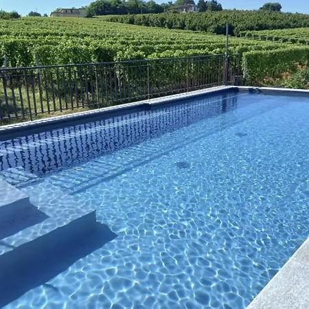 Tra... Monti E Vigne-3